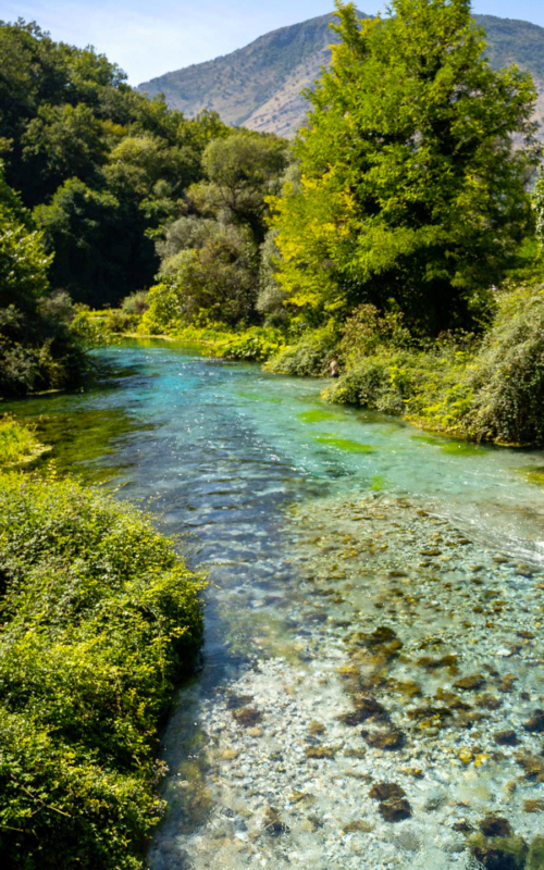 blue_eye_albanie